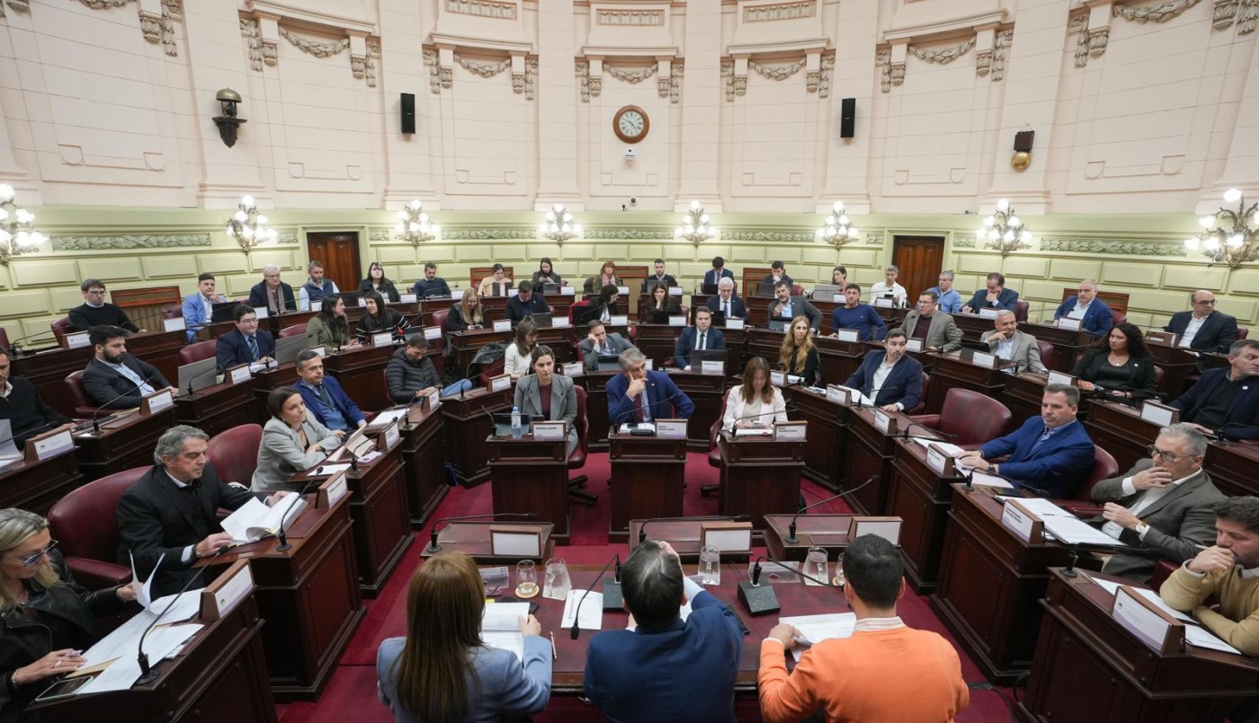 Convención Reformadora: el pleno sesionará y aprobará la reelección del gobernador | Política y Economía