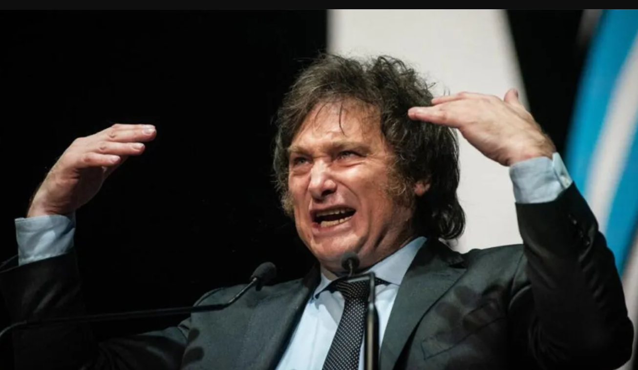 Milei: "La estrategia del kirchnerismo es destruir el plan económico o intentar matarme" | Política y Economía