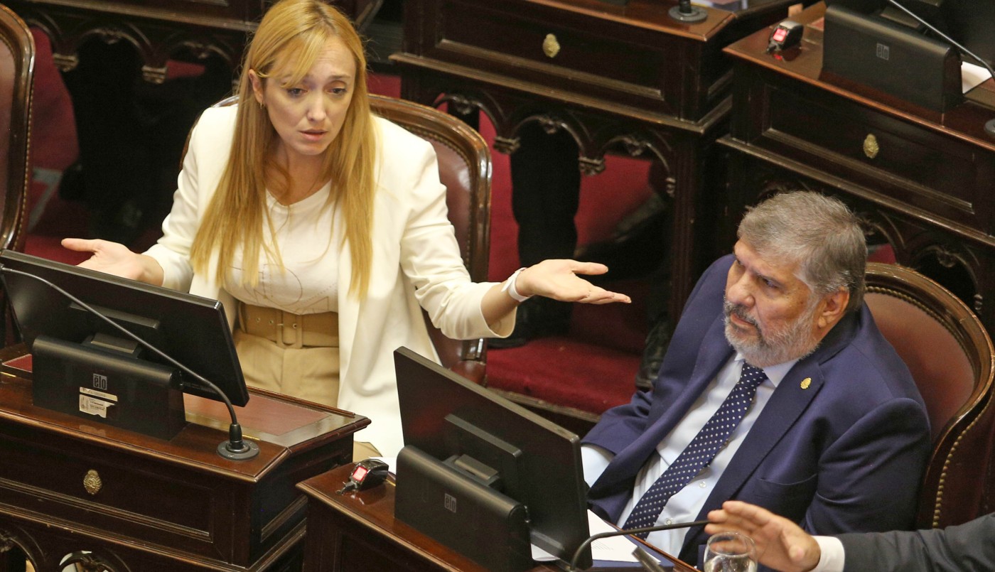 El Senado debatirá el rechazo del veto a Discapacidad y la reforma de los DNU | Política y Economía