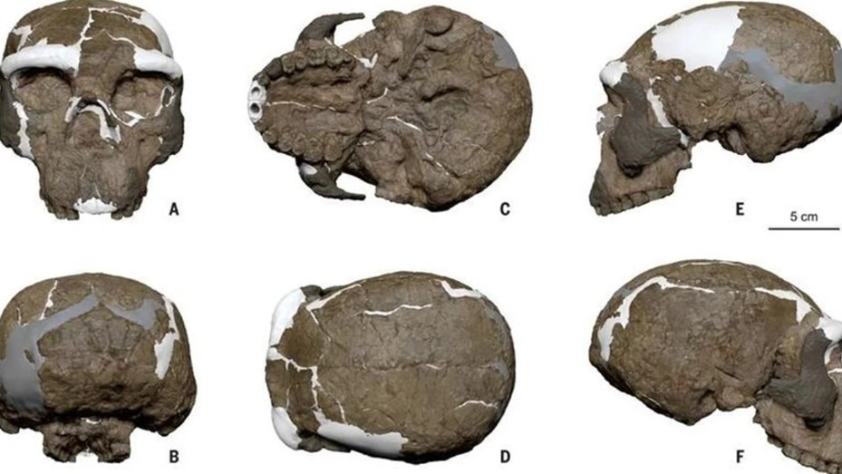 Hallan en China un cráneo de hace un millón de años que reescribe la cronología de evolución humana | Información General