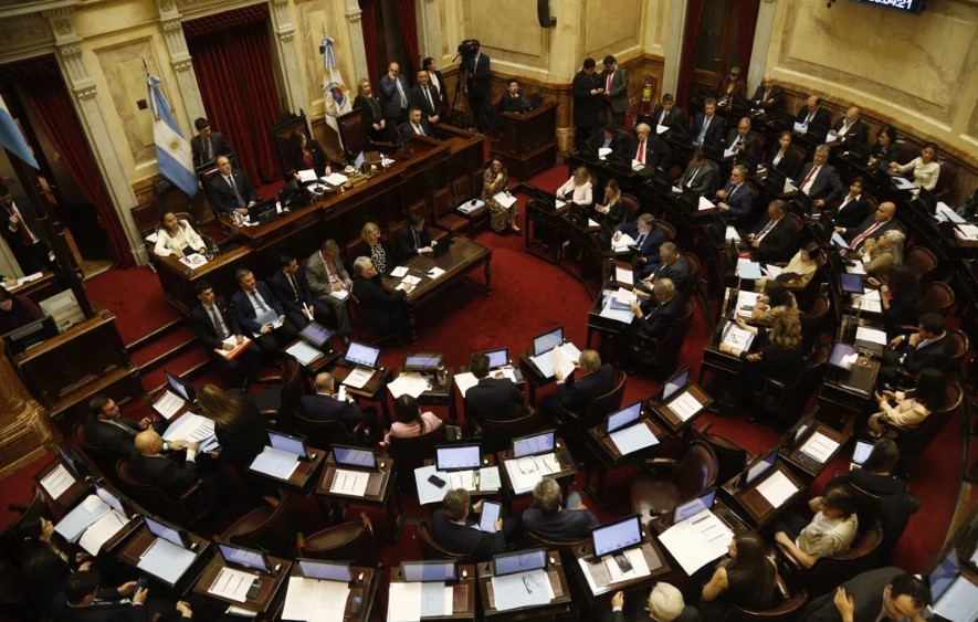 El Senado sesionará este jueves para rechazar los vetos sobre emergencia pediátrica y universidades | Política y Economía