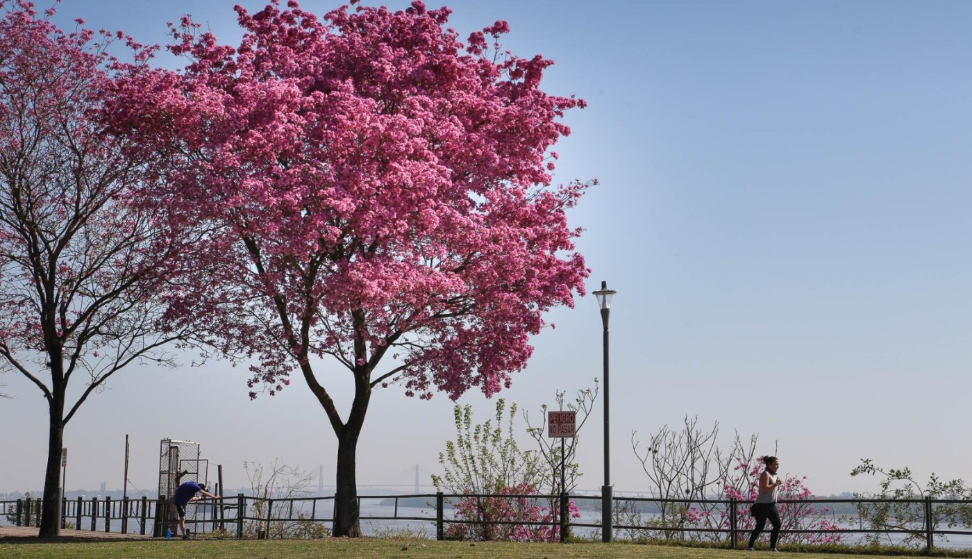 Tiempo en Rosario: el viento se calma, pero el frío se queda | Rosario y la región