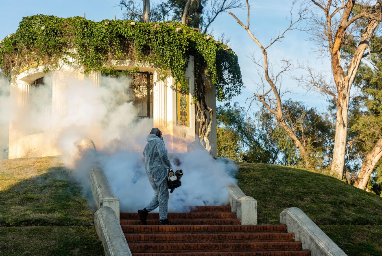 El municipio refuerza la fumigación en parques y plazas para controlar mosquitos | Servicios