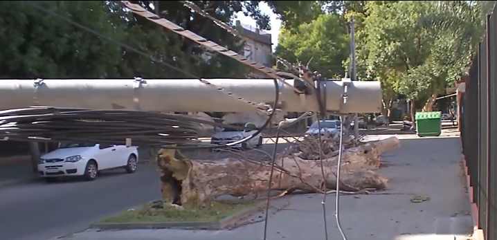 Tormenta de viento y tierra: más de 90 árboles caídos y graves destrozos | Rosario y la región