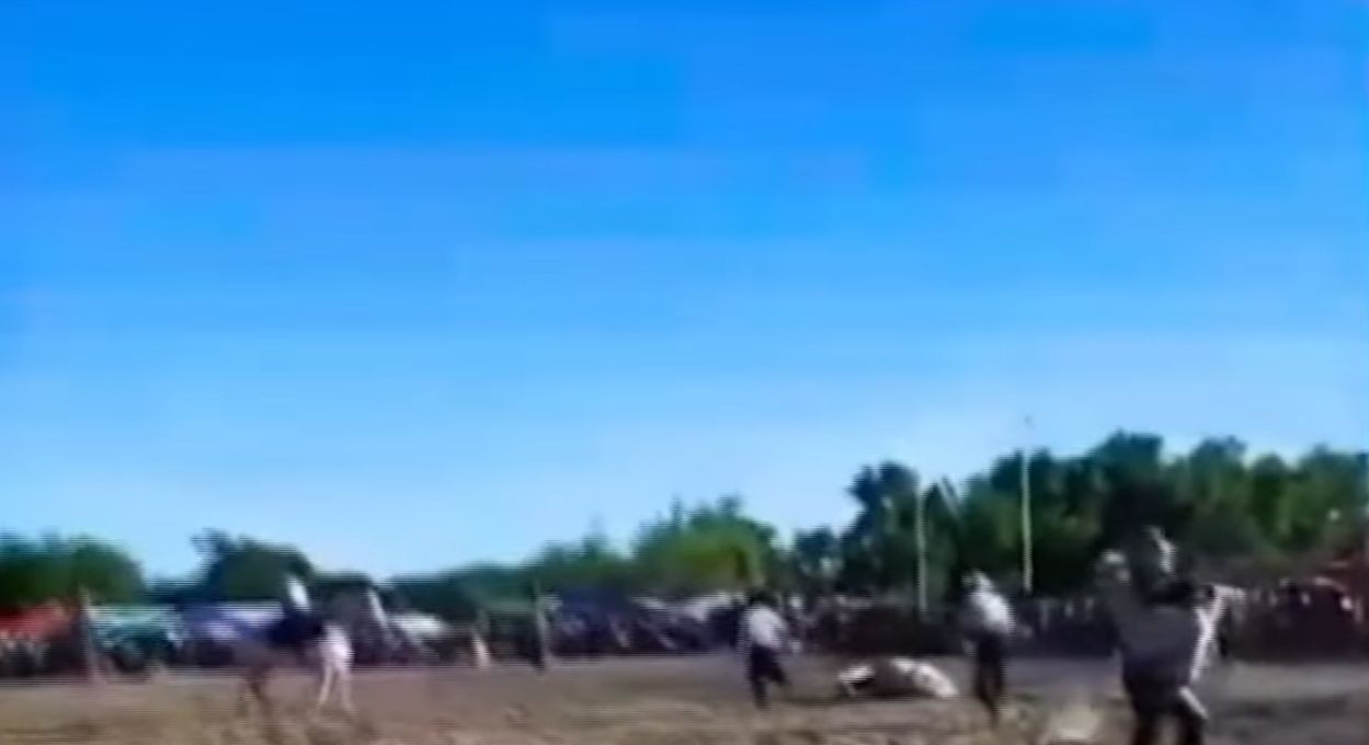 Tragedia en la jineteada: falleció un caballo durante una pialada | Información General