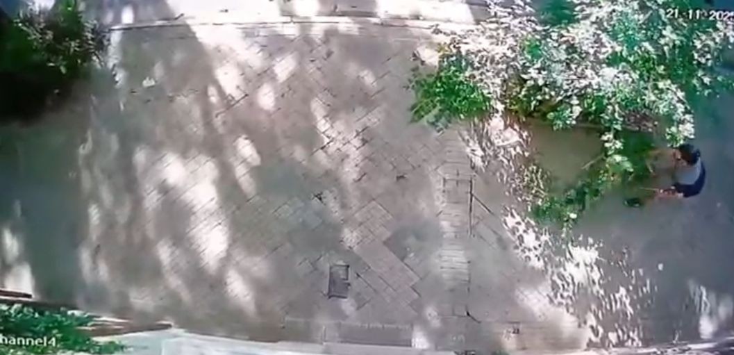 Vecinos indignados: un hombre destruyó los canteros de la cuadra | Rosario y la región