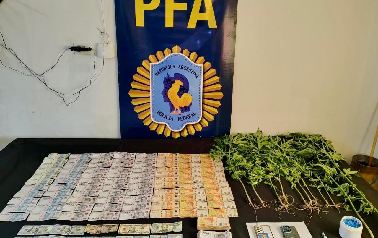 Plan Bandera en acción: el DFI desmanteló redes narcocriminales vinculadas a “Los Monos” y “Los Menores” en Rosario | Rosario y la región