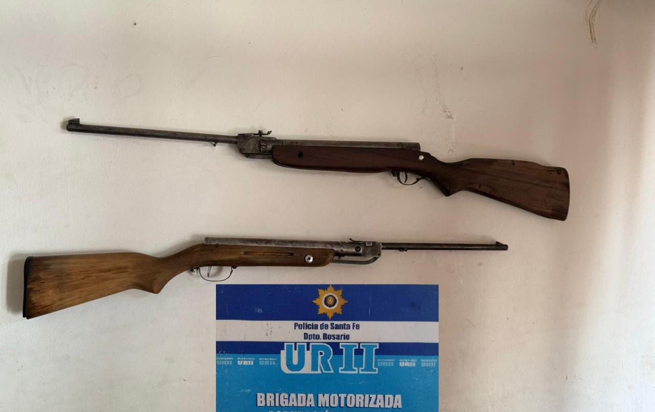 Hallaron un gato encerrado en un balcón y armas en un departamento del centro | Rosario y la región