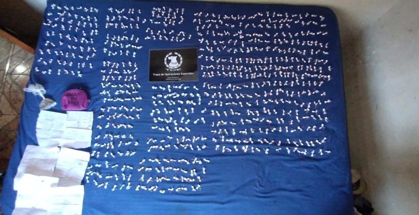 Secuestraron casi 700 dosis de cocaína en operativos en la zona oeste | Rosario y la región