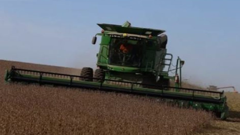 Campo: el Gobierno anunció nuevas alícuotas tras la reducción de retenciones | Política y Economía