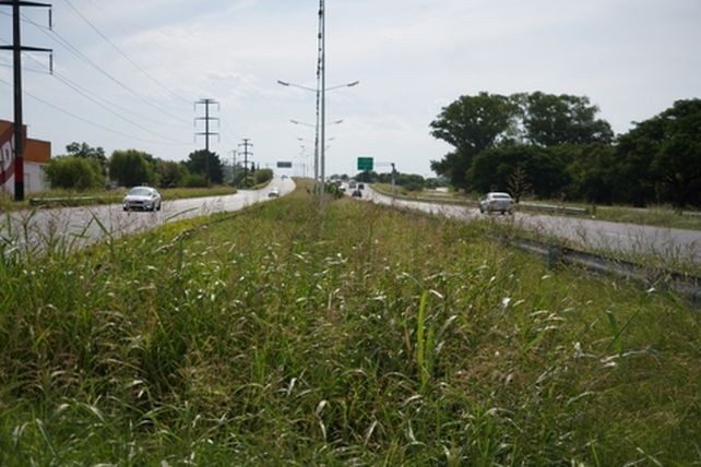 Rosario: la Justicia Federal le da 10 días a Vialidad Nacional para iluminar la Circunvalación | Rosario y la región