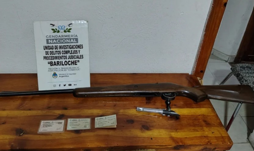 Faenaron un guanaco en el Parque Nacional Nahuel Huapi y deberán pagar $6 millones | Información General