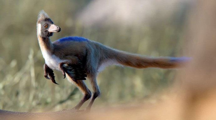 Descubren en Río Negro un fósil único de 95 millones de años | Curiosidades