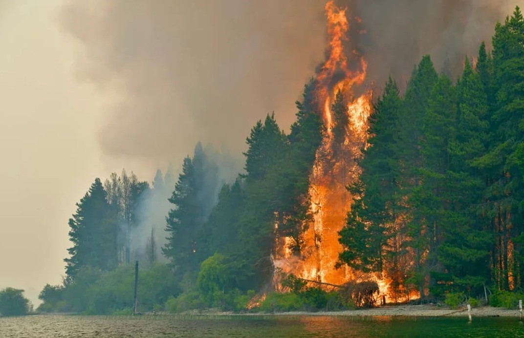 El Gobierno anunció que endurecerá las penas contra quienes provoquen incendios forestales | Información General