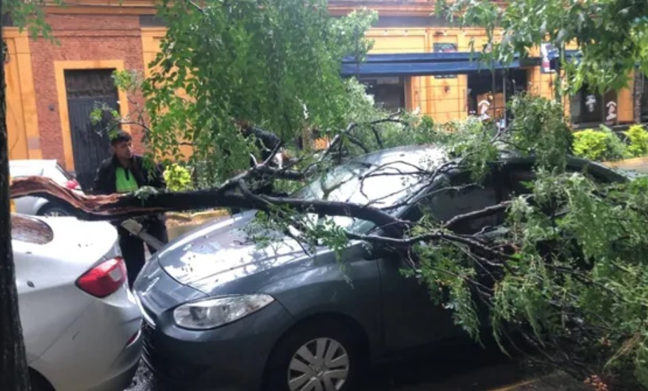Fuerte tormenta en Rosario con vientos de hasta 80 kilómetros por hora | Rosario y la región
