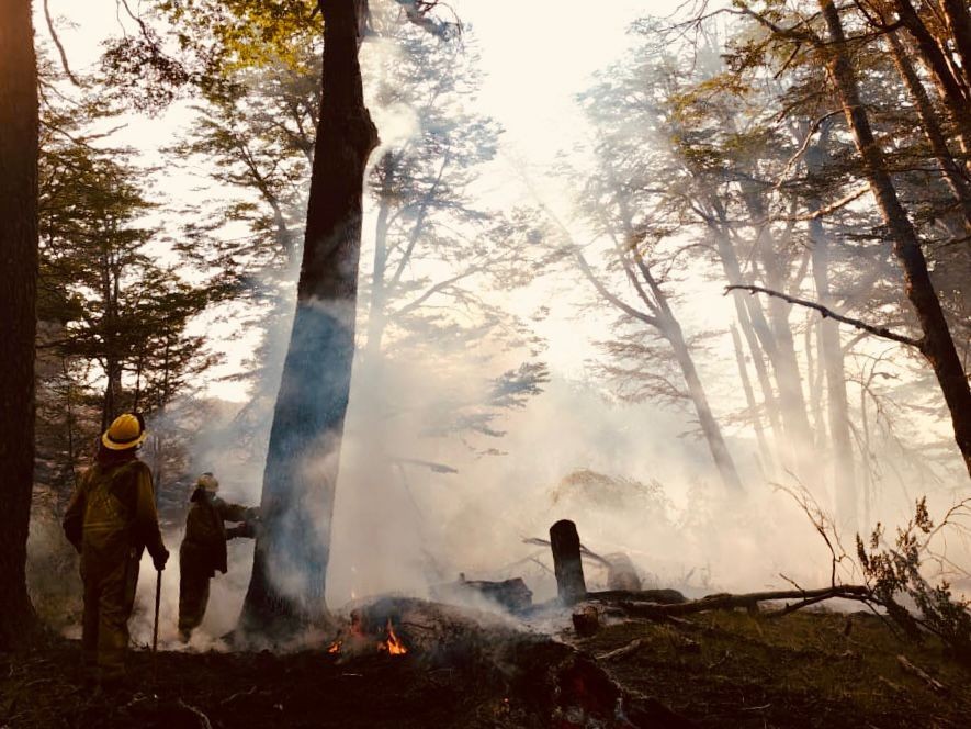 Brigadistas santafesinos continúan combatiendo los incendios forestales en Chubut | Información General