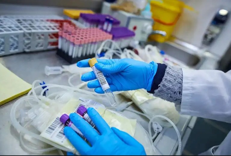 Los Testigos de Jehová modificaron su postura sobre transfusiones | Información General