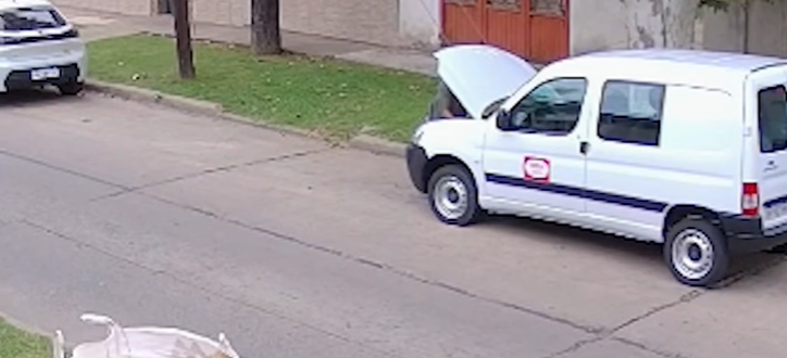 Zona norte: robó una batería en segundos | Rosario y la región