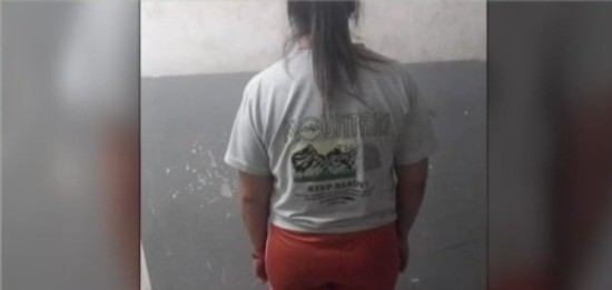 Habló la dueña del pitbull que atacó a una niña: “los chicos le viven tirando piedras” | Rosario y la región