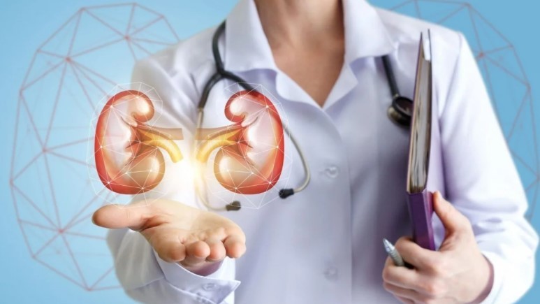 Alertan sobre la enfermedad renal crónica: muchos pacientes llegan a diálisis sin diagnóstico previo | Información General