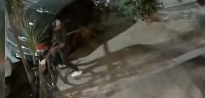 Quebró un árbol para robar una bici | Rosario y la región