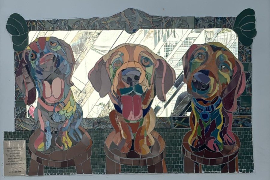 Comenzó a funcionar la guardia del Hospital Animal | Rosario y la región