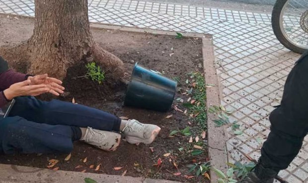 Una mujer fue herida tras caerle una maceta con una planta de marihuana en pleno centro | Rosario y la región