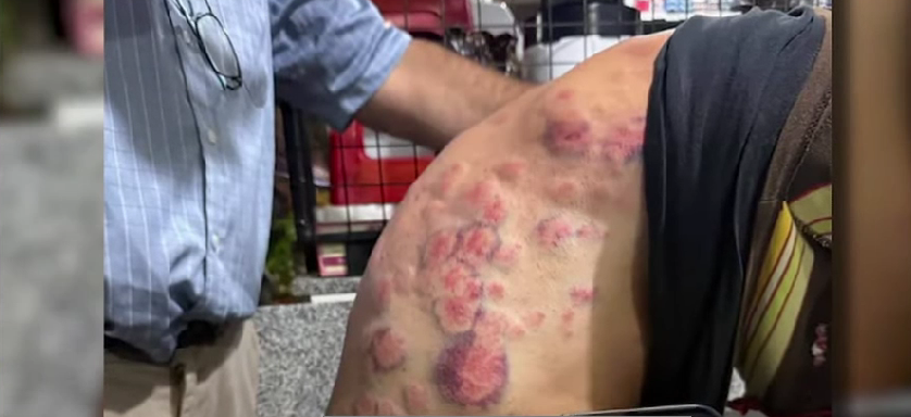 Ruta 9: un kinesiólogo sobrevivió a la feroz pedrada refugiado en su auto | Información General