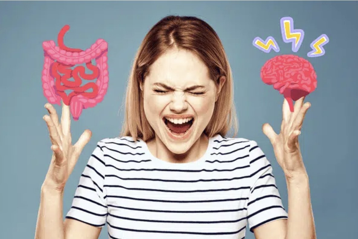 El cuerpo humano tiene un “segundo cerebro”: cómo el intestino influye en tu estado de ánimo y en tu salud | Curiosidades