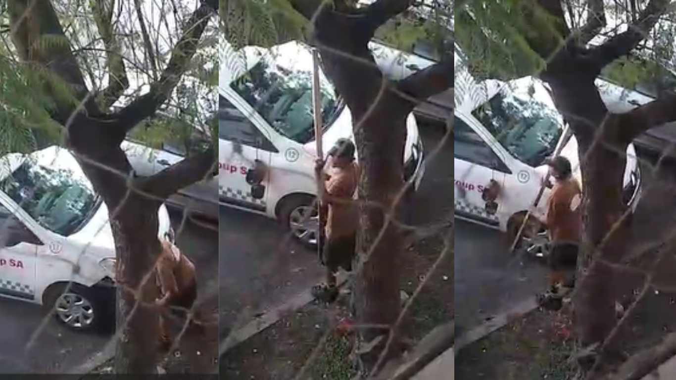 Trapito violento destrozó un vehículo frente al Club Universitario y quedó filmado | Rosario y la región