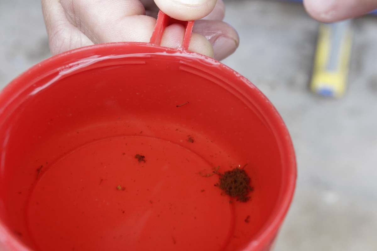 Llegó el "Día D": convocan a la primera jornada colectiva de descacharrado | Información General