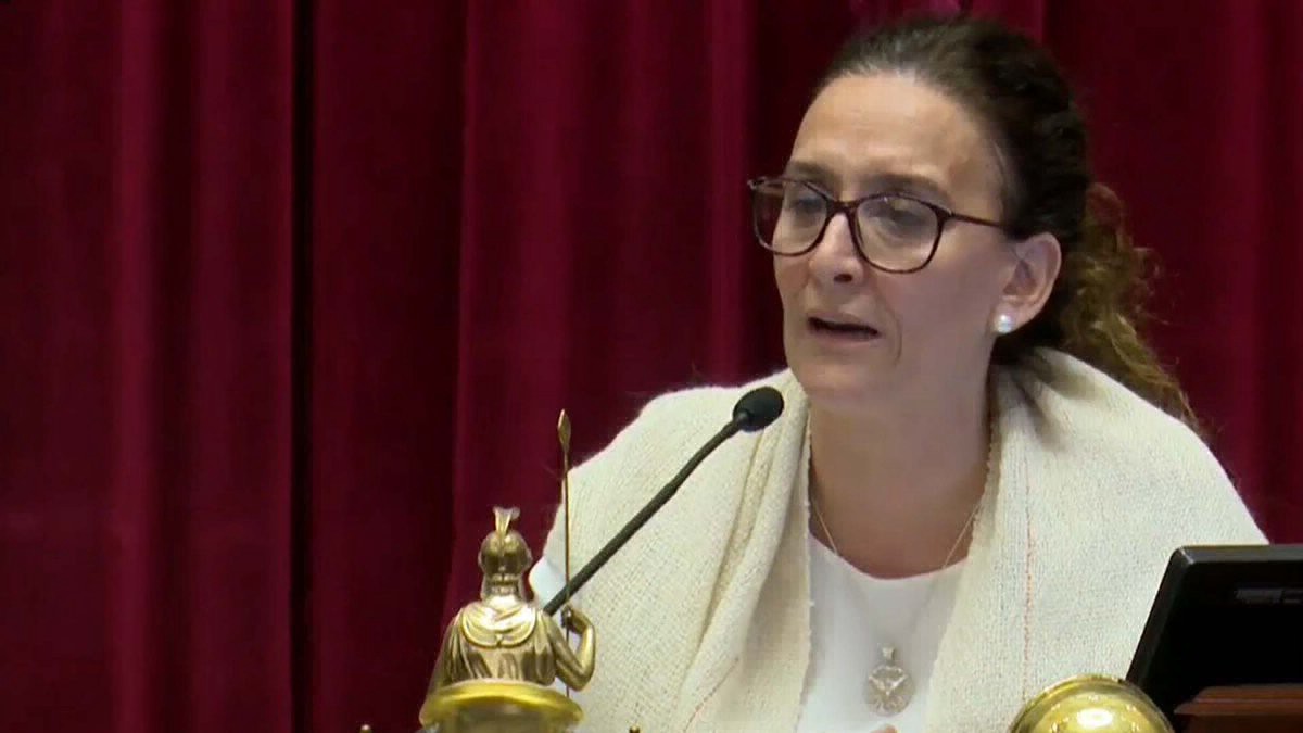 El festejo de Gabriela Michetti tras el rechazo de la legalización del aborto | Información General