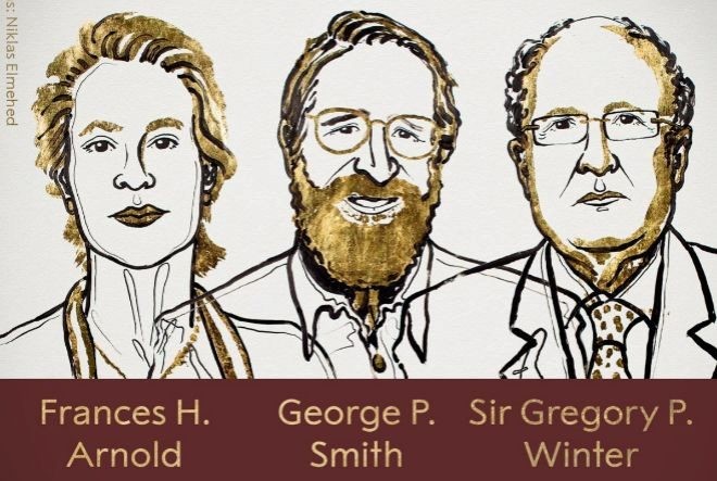 Nobel de Química para investigadores de las proteínas | Internacionales