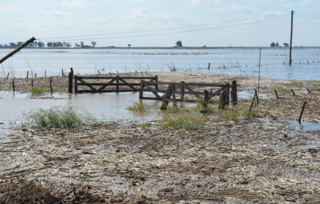 Declararán la emergencia agropecuaria en General Villegas por las inundaciones | Información General