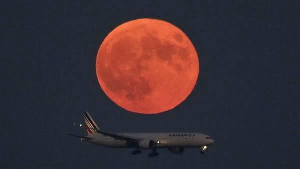 En pocos días llega una superluna que no se daba desde 1948 | Información General