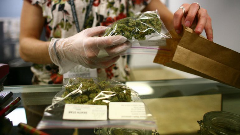 La Cámara de Diputados debate hoy el proyecto para importar y distribuir aceite de cannabis | Información General