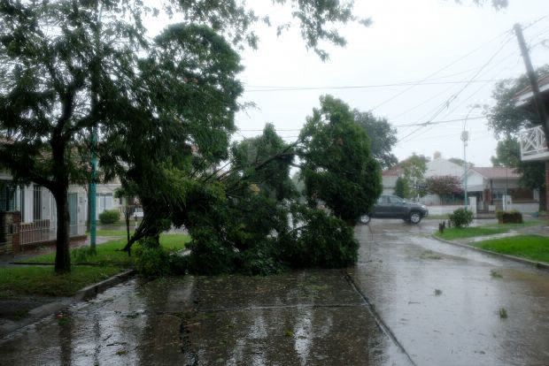 Evacuados, más de 100 árboles caídos, y alertas por trombas marinas en la Costa Atlántica | Información General