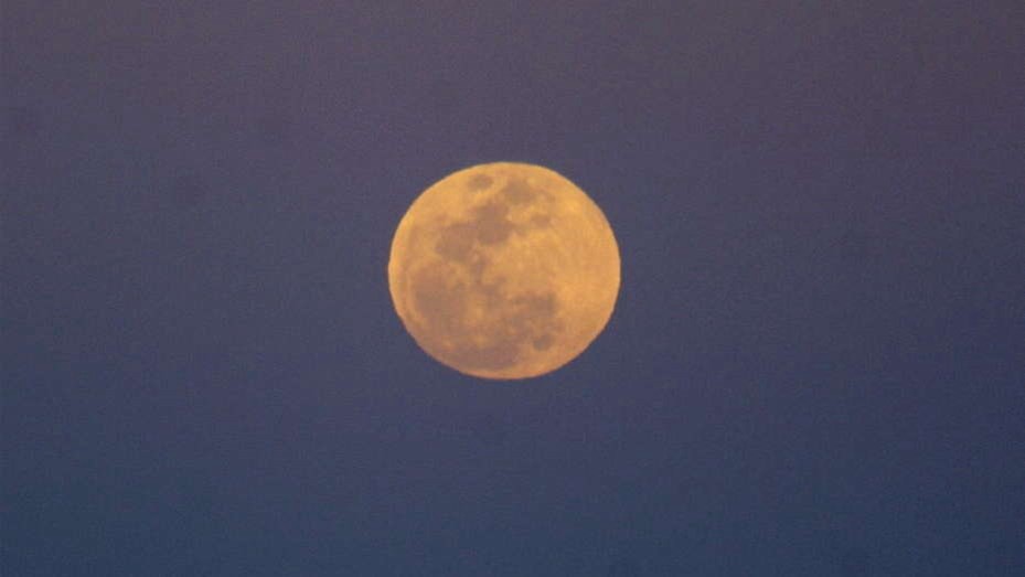 Superluna azul de sangre y eclipse: mirá la transmisión en vivo | Internacionales