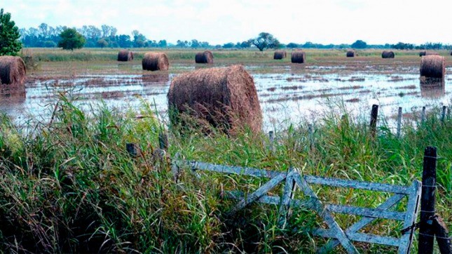 Declararon la emergencia agropecuaria en seis provincias | Información General