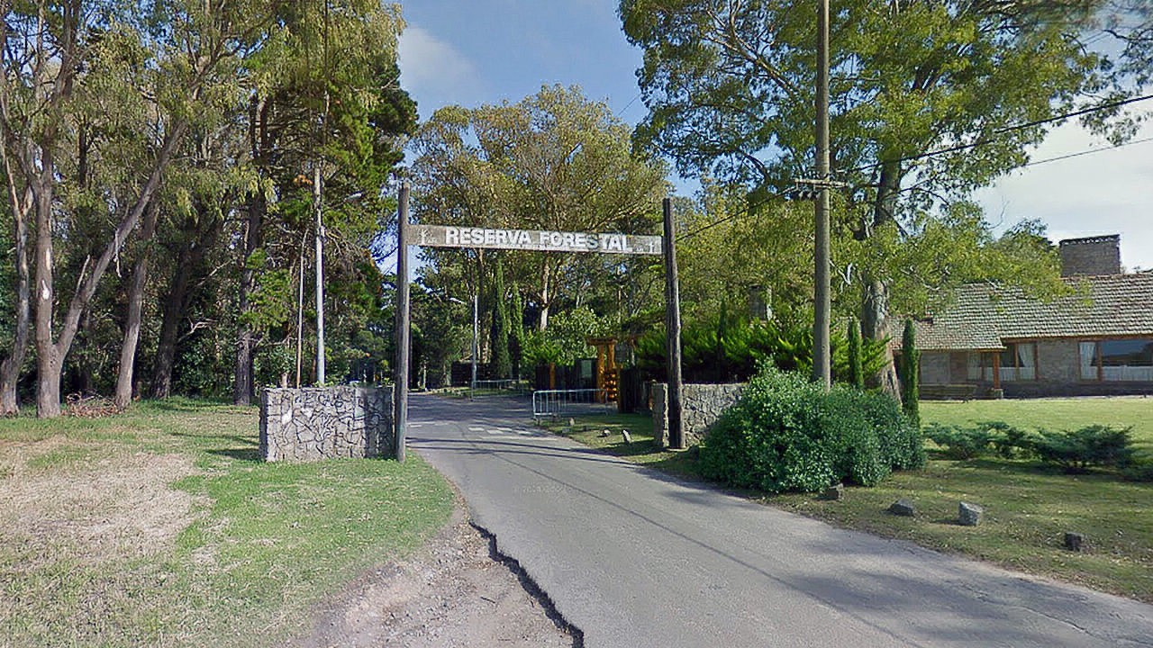 Mar del Plata: hallaron sin vida a una joven de 20 años y detuvieron a su novio | Información General