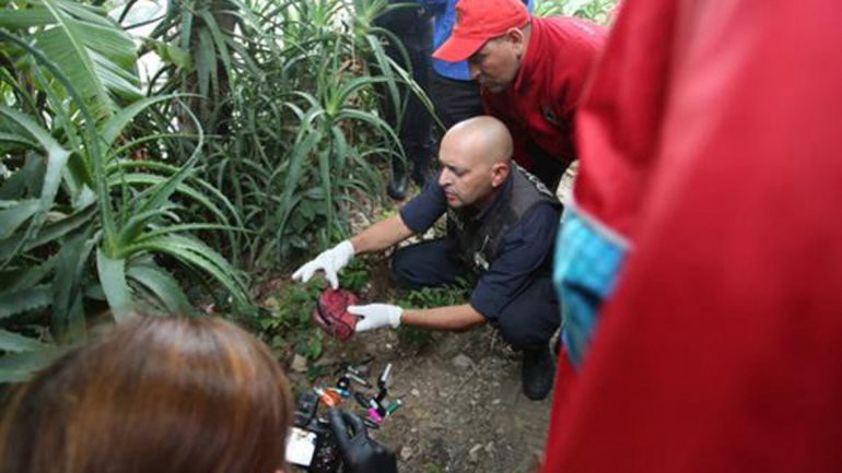 Encontraron en el partido bonaerense de San Martín una cartera que sería de Araceli Fulles | Información General