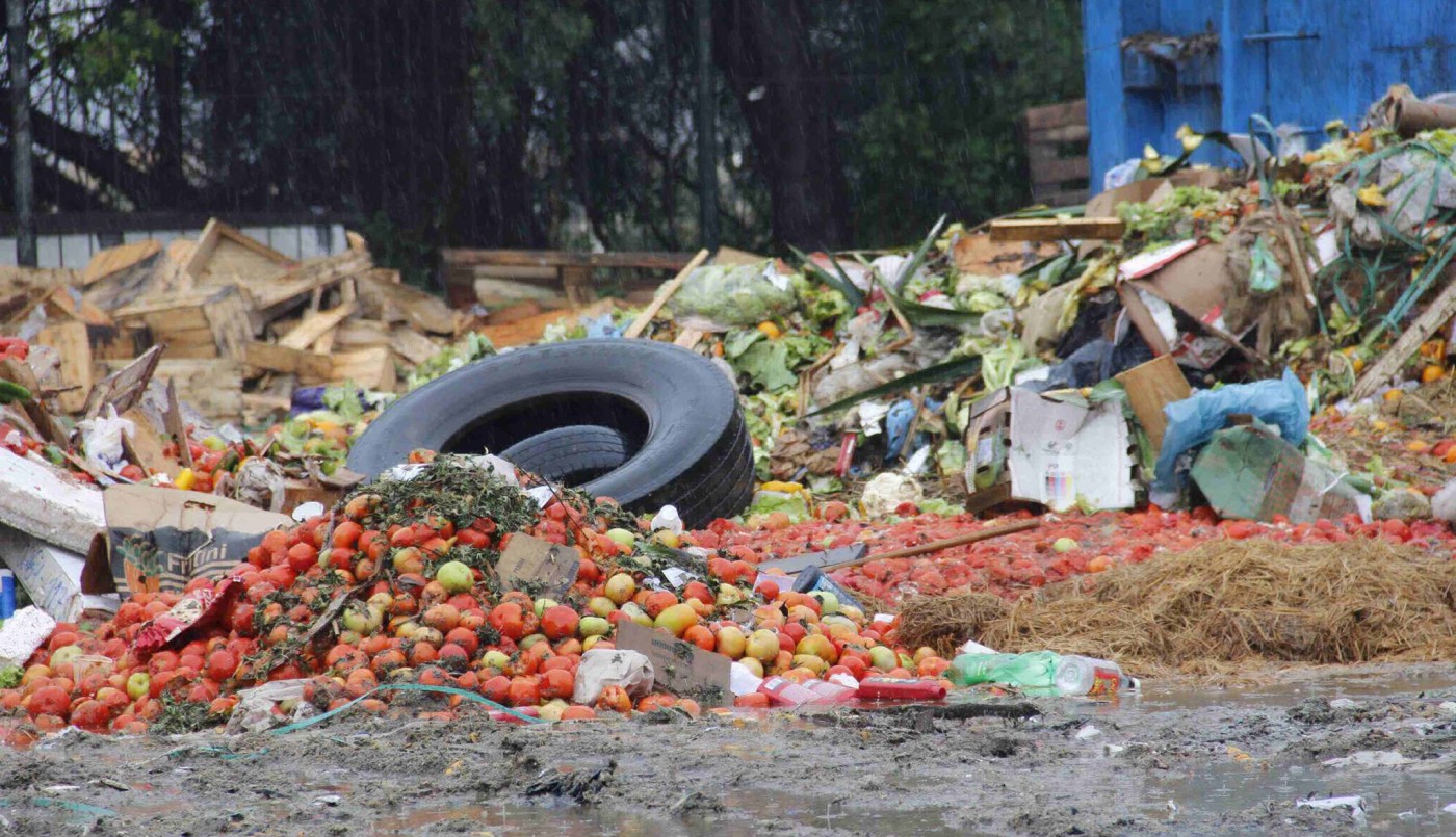 En la Argentina se desperdician cerca de 16 millones de toneladas de alimentos por año | Información General
