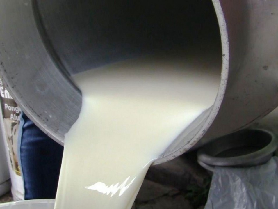 El Ministro de Agricultura reconoció que el litro de leche "es más que caro" en Argentina | Información General