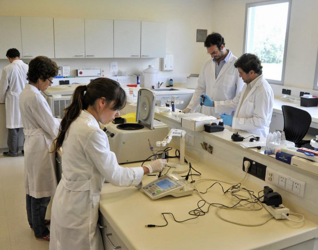 El Conicet es la mejor institución científica gubernamental de Latinoamérica | Información General
