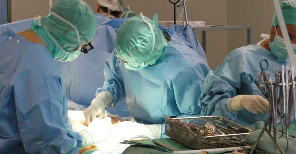 El Incucai alcanzó la cifra récord de 701 donantes de órganos en 2018 | Información General