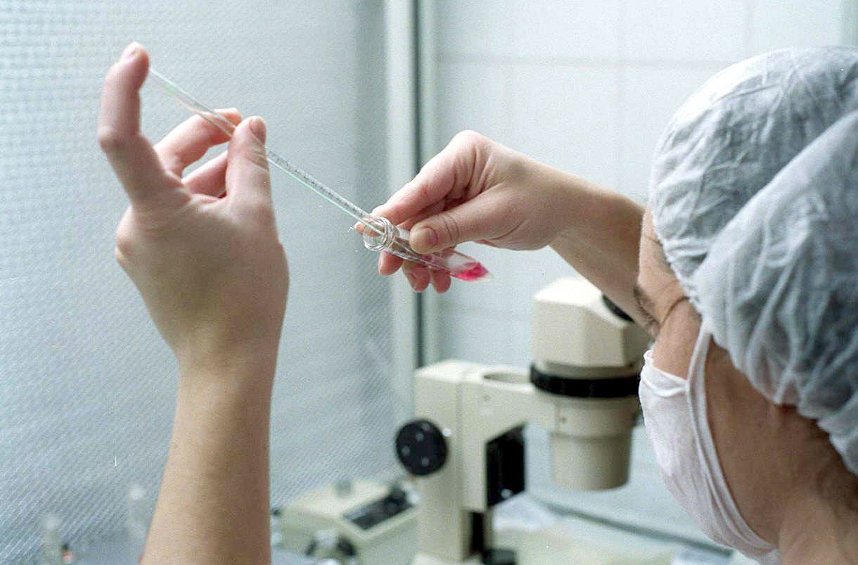 La Justicia ordenó al IAPOS reconocer un tratamiento de fertilidad a una mujer de 49 años | Información General