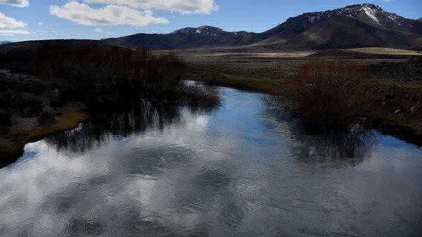 Caso Maldonado: el comunicado de la fiscalía | Información General