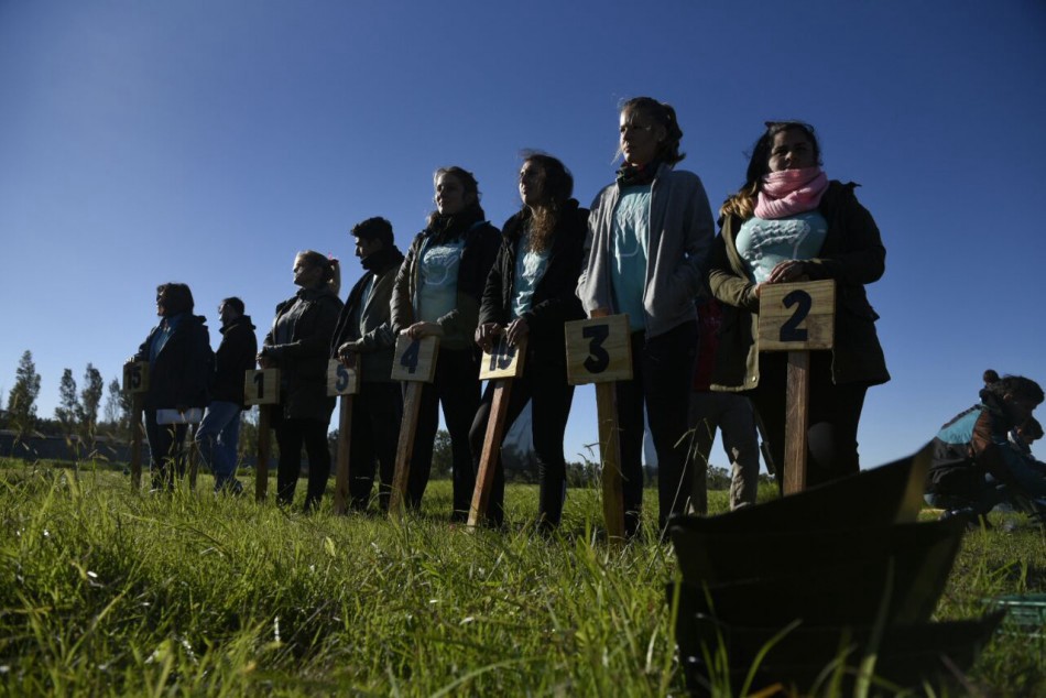 Más de 300 vecinos voluntarios plantaron mil nuevos árboles en el Bosque de los Constituyentes | Información General