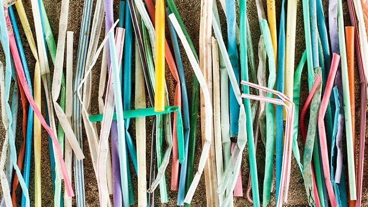 "Guerra contra las pajitas": piden que se prohíban los sorbetes de plástico | Información General