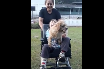 El emotivo recibimiento de este perro a su dueño en silla de ruedas | Tecnología
